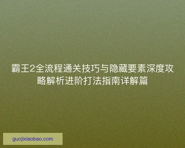 霸王2全流程通关技巧与隐藏要素深度攻略解析进阶打法指南详解篇