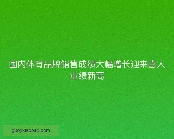 国内体育品牌销售成绩大幅增长迎来喜人业绩新高